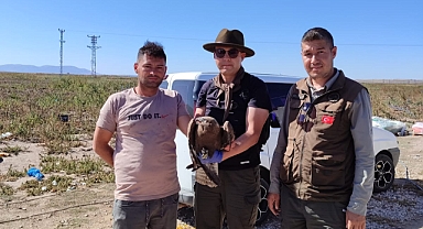 Kayseri'de Yaralı Kuşlar Tedavi Altına Alındı