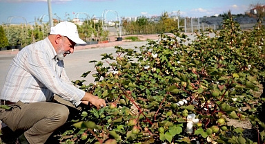 Kocasinan'da Türkiye’nin En Kapsamlı Fidanlığı ile Yeşil Kayseri Projeleri Hız Kazanıyor