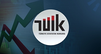Tüik Verilerine göre Motorlu Kara Taşıtları, Ağustos 2024