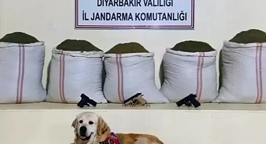19 İlde 'Narkoçelik-42' Operasyonu: 49 Şüpheli Yakalandı
