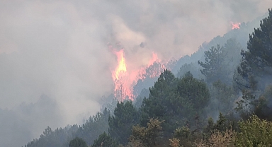 Afyon'daki orman yangını 12,5 saat sonra kontrol altına alındı
