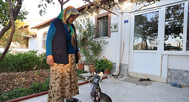 Büyükşehir Belediyesi, Yaşlı Vatandaşın Kedi Maması Talebini Anında Karşıladı