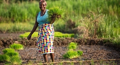 Dünya Bankası: Dünyanın yüzde 8,5'i aşırı yoksulluk içinde yaşıyor