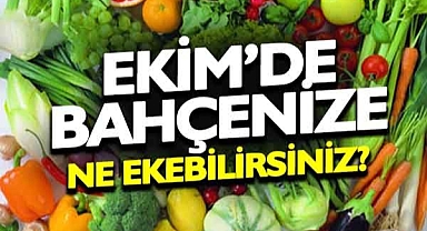 Ekim ayında bahçene ekebileceğin / dikebileceğin sebzeleri mi düşünüyorsun?