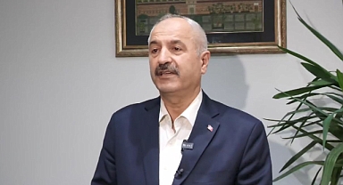 Gebze'de 45 Hayvan Ölü Bulundu: Başkan Büyükgöz Hesap Sorulacağını Açıkladı