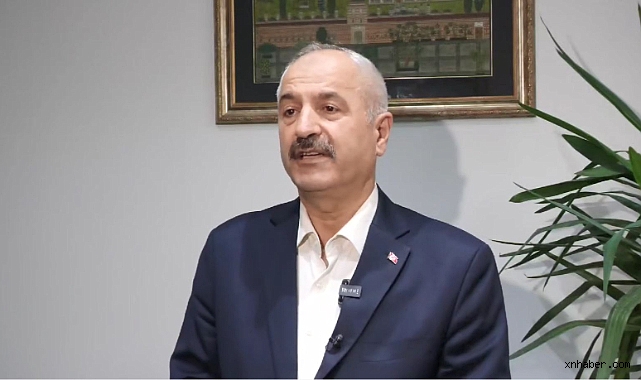 Gebze'de 45 Hayvan Ölü Bulundu: Başkan Büyükgöz Hesap Sorulacağını Açıkladı