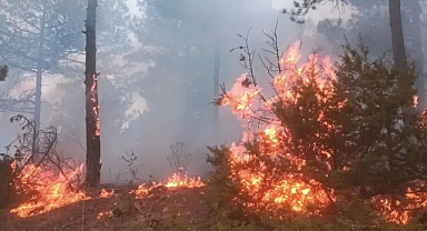 Gediz'de çıkan orman yangını 3 saatte söndürüldü