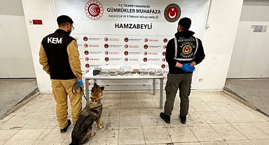 Hamzabeyli Gümrük Kapısı’nda 103 Milyon Liralık Uyuşturucu Operasyonu