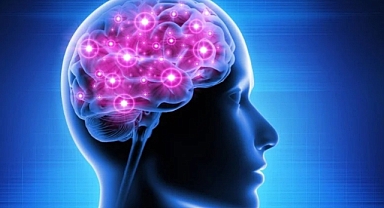 İki Dilli Olmanın Beyin Üzerindeki Faydaları: Yeni Bir Araştırma