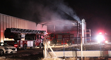 Kayseri'de Mobilya Fabrikasında Yangın: At Yaralı Kurtarıldı, Maddi Hasar Büyük