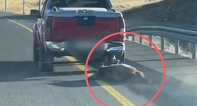 Kayseri'de öldürdüğü domuzu kamyonetinin arkasına bağlayıp sürükledi