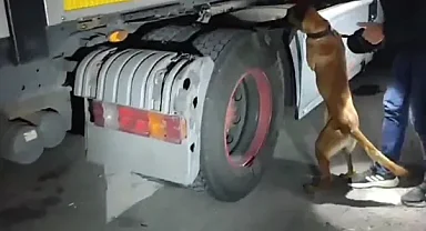 Kayseri'de Uyuşturucu Ticareti Yapan Şahıs Yakalandı