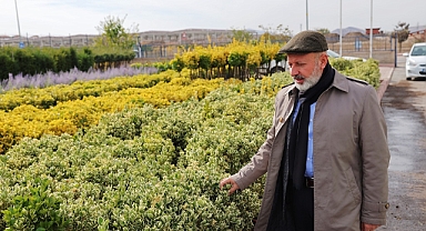 Kocasinan’da Her Mevsim Rengarenk: Başkan Çolakbayrakdar Doğaya Verdiği Değeri Vurguladı