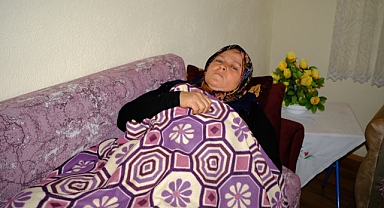 Komşusunun Köpeği Saldırdı, 12 Dikiş Attılar!