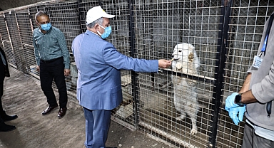 Talas Pati Evi’nde Talas Belediyesi ve ERÜ Veteriner Fakültesi Arasında İşbirliği Artırılıyor