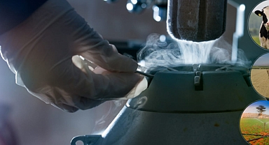 TARIM ve Orman Bakanlığı'ndan Çiftçilere 185,7 Milyon Lira Destekleme Ödemesi