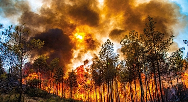 Türkiye’nin Canı Yanmasın Destek Programı Kapsamında 3 Yeni Proje Tamamlandı