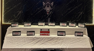 Türkiye'ye giriş yapan TIR'ın sürücü kabininde 12 kilo kokain ele geçirildi