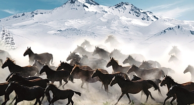 Valilik ve Büyükşehir'den Hürmetçi Sazlığı İçin Turizm Atağı