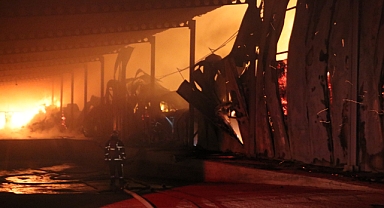 Kayseri'de Mantar Üretim Tesisinde Korkutan Yangın: Ekipler Müdahale Ediyor