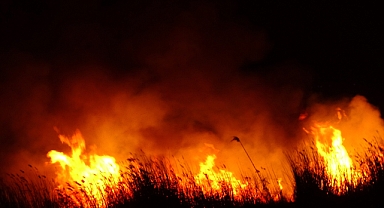 Kayseri'de Sultan Sazlığı Milli Parkı'ndaki yangın 3 saatte söndürüldü