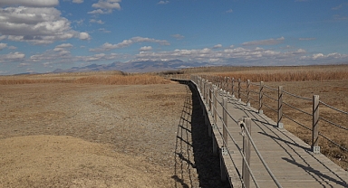 301 kuş türüne ev sahipliği yapan Sultan Sazlığı için ‘kuraklık’ uyarısı