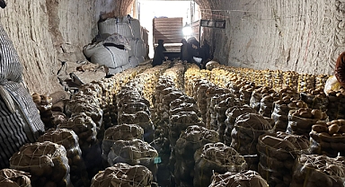 Kayadan Oyma Mağaralarda Depolanan Patatesler, 5 Ülkeye İhraç Ediliyor