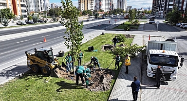 Kocasinan, 10 Yılda 965 Bin Ağaç Dikerek Geleceğe Nefes Oldu