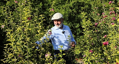 Kocasinan'da Yeşil Alan Rekoru Kırıldı: Kişi Başına 15,71 Metrekare!