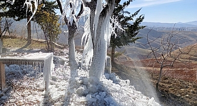 Patlayan borudan suyun sıçradığı ağaçta buz sarkıtları oluştu