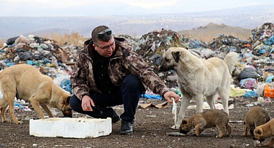 16 Yıldır Sokak Hayvanlarını Balıkla Besliyor