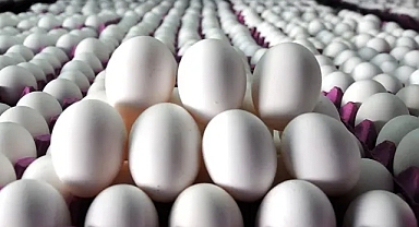 Aralık Ayının Zam Şampiyonu Yumurta Oldu, Ulaşımda Büyük İndirim!