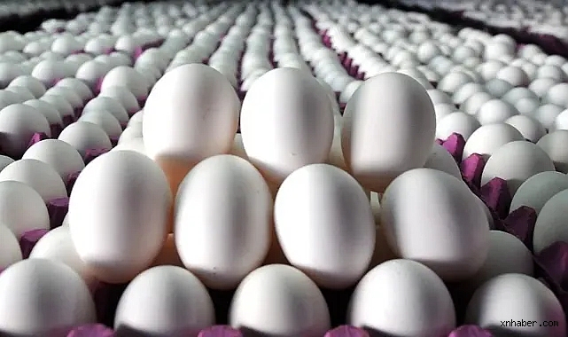 Aralık Ayının Zam Şampiyonu Yumurta Oldu, Ulaşımda Büyük İndirim!