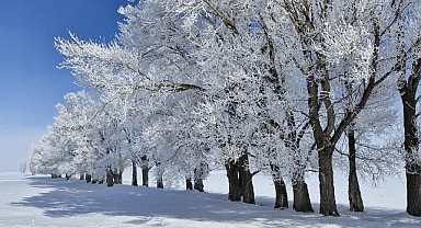 Batıda bahar, doğuda zemheri soğukları geldi