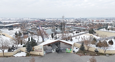 Büyükşehir Hayvanat Bahçesi’ne 2024’te Rekor Ziyaretçi Akını: 375 Bin 951 Kişi