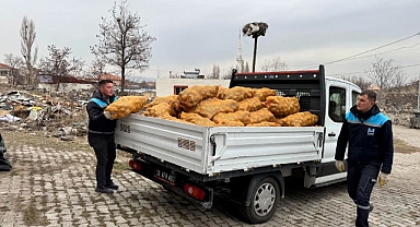Hacılar Belediyesi, 4.000 Haneye 100 Ton Patates Dağıttı