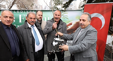 Başkan Yalçın, Muhtarlara Kestane Fidanı Hediye Etti