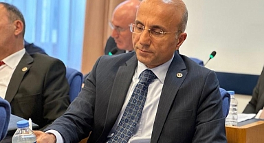 CHP'li Aşkın Genç: Türkiye Ekonomisi Adım Adım İflasa Sürükleniyor