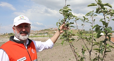 Kadınlar Tarımsal Üretimde Güçleniyor: Kocasinan’dan Yeni Kooperatif