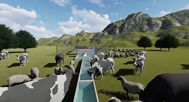 Kayseri Büyükşehir Belediyesi'nden Yeşil Enerji ile Hayvan İçme Suyu Temini Projesi