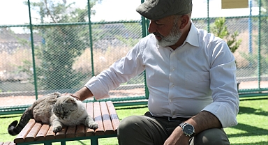 Kayseri’de Bir İlk: Küçük Dostlar Kedi Kasabası Rekor Ziyaretçi Ağırladı