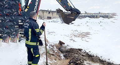 Kayseri OSB İtfaiyesi, Bataklığa Saplanan Yılkı Atını Kurtardı