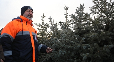 Kocasinan'da Türkiye'nin En Büyük Fidanlık Üssü: 500 Bin Bitkiyle Yeşil Alan Seferberliği