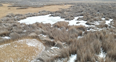 Sultan Sazlığı Milli Parkı buz tuttu