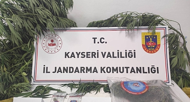 Kayseri'de Uyuşturucu Operasyonu: Kenevir ve Esrar Ele Geçirildi