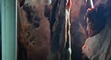 Kayseri’de 1,5 Ton Mühürsüz Et İmha Edildi