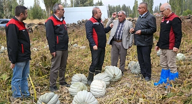 Develi Şahmelik Köyü’nde Bal Kabağı Hasadına Tarım il müdürlüğü de Katıldı