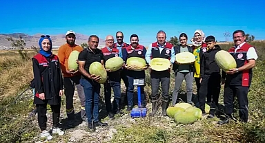 Kayseri’de Dev Karpuzlar Hasat Edildi: Hayvanlar İçin Enerji Deposu!