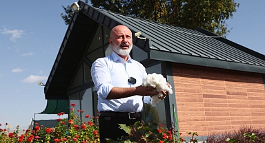 Kayseri'de Pamuk Yetiştirildi: Kocasinan Belediyesi Tarımsal Potansiyeli Gösteriyor