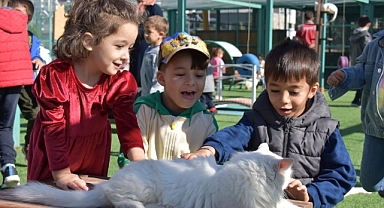 Kocasinan’da Sokak Hayvanlarına Türkiye’ye Örnek Projeler